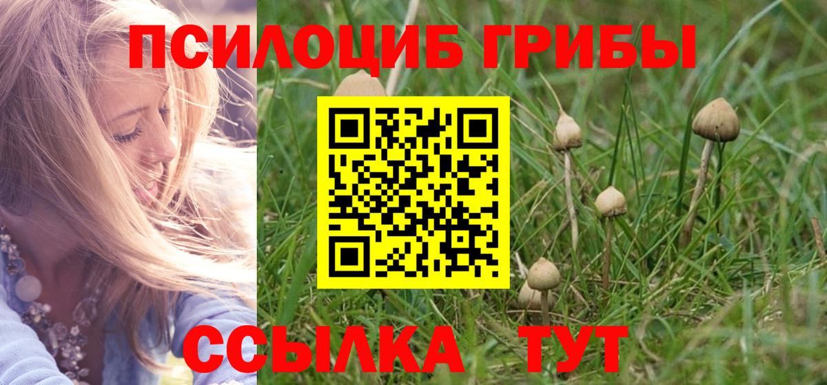Псилоцибиновые грибы мухоморы  Вход с VPN  Старая Купавна 